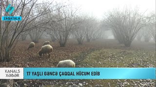17 Yaşlı Gəncə Çaqqal Hü Edib... K S Xəbər
