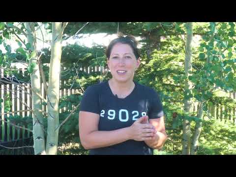 Video testimonial from Dr. Nicole Woodard