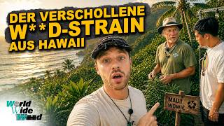 Following In The Footsteps Of A Legendary Strain hawaii Documentary