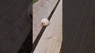 WOOD MARBLE RUN