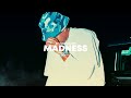 MADNESS Riddim | Dancehall Ragga Beat Instrumental | Dancehall Jamaican Riddim | 2023