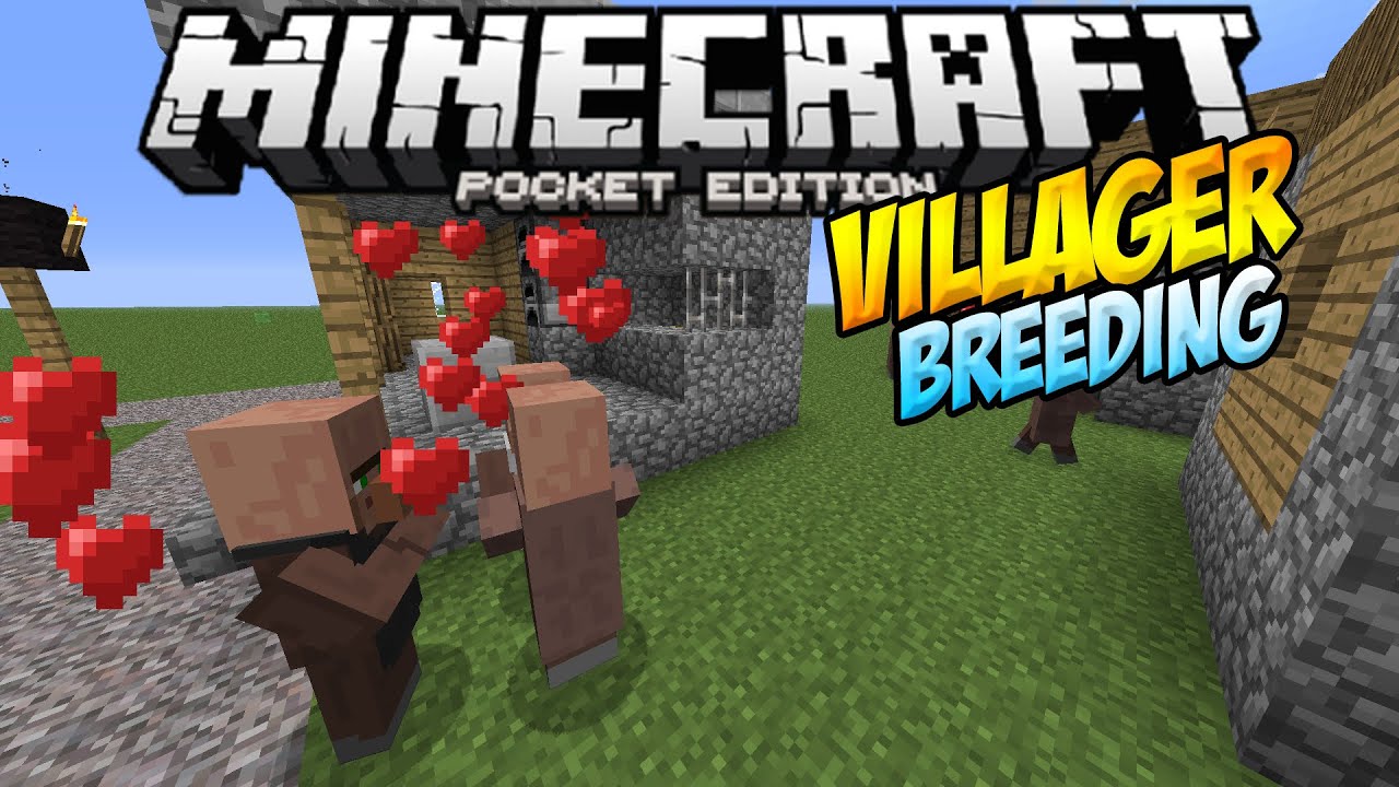 VILLAGER BREEDING IN MCPE!! - Breed Baby Villagers!!- Minecraft PE