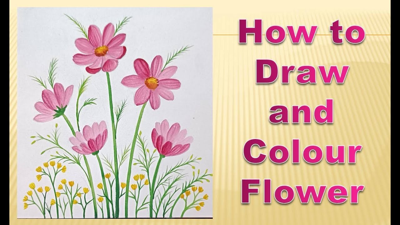 how to draw and colour flower | flower kaise banayen aur color karen ...