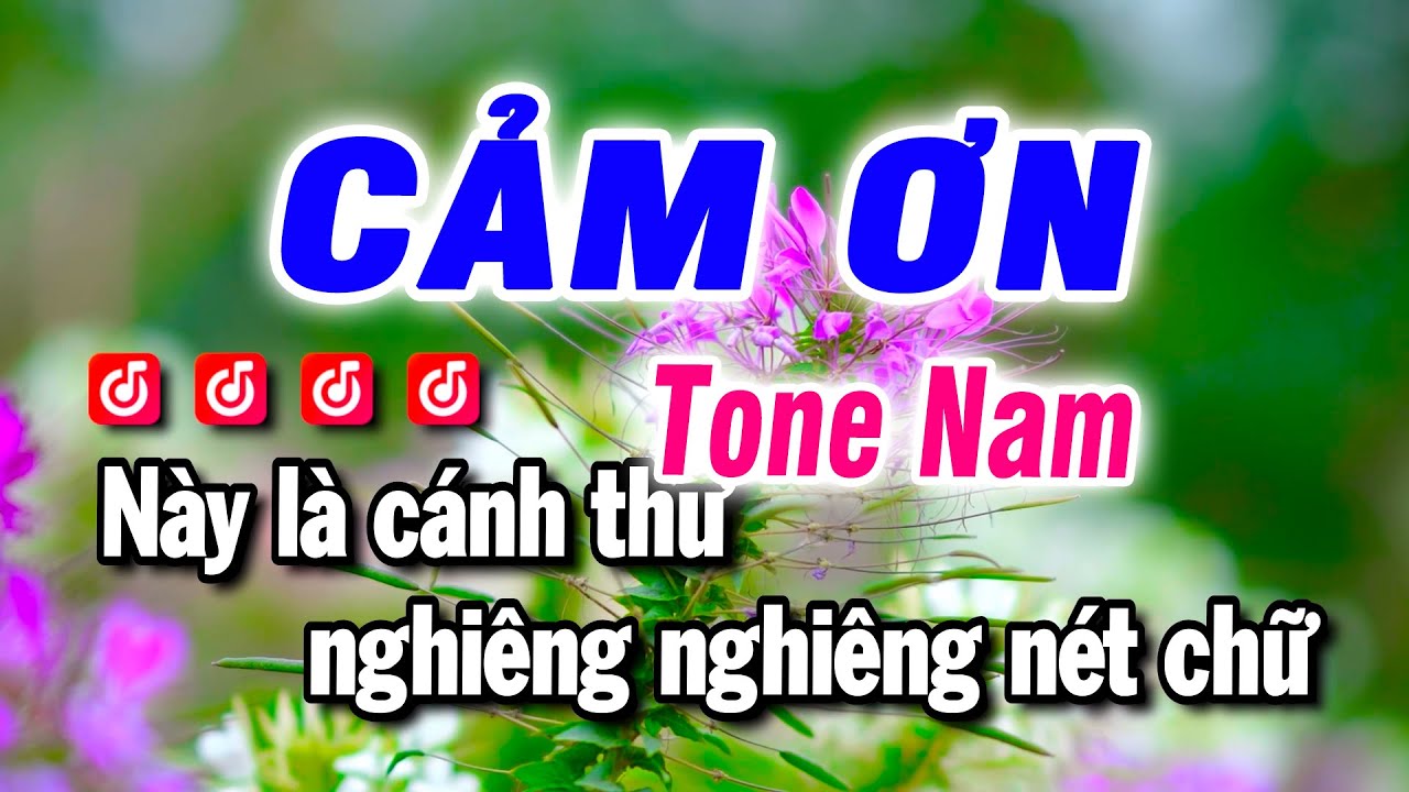 Karaoke Cảm Ơn - Nhạc Sống Tone Nam - Beat Bảo Hưng