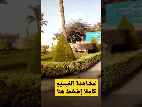 تبقى بطل لو عرفت الشوارع دي فين بالظبط 