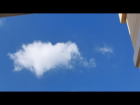 Sunshine after the rain - YouTube