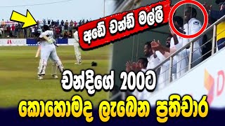 Dinesh Chandimal&#39;s double century - Sri Lanka vs Australia highlights - sri lanka cricket - ikka slk