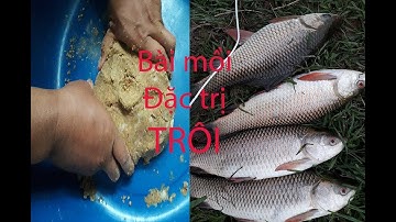Giới thiệu anh em bài mồi câu cá Trôi đơn giản mà cực kỳ hiệu quả