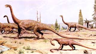 Efraasia and Thecodontosaurus: Early Sauropodomorphs from Europe