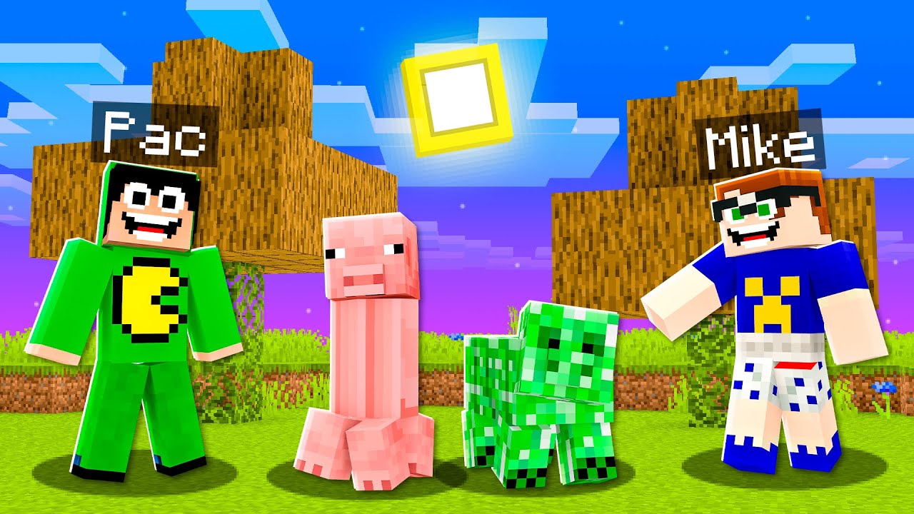 Minecraft MAS tudo está INVERTIDO! 😨