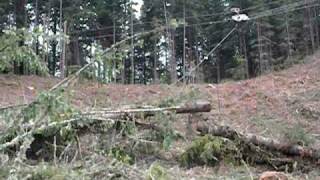 Yarder Logging in Oregon