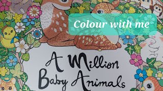 Colour with me in Lulu mayo's 'A Million Baby Animals'   Polar Bear Globe