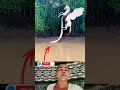 #reelschallenge