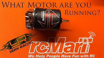 Yeah Racing Just Climb Motor Review