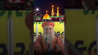 Hussain Ka Waqiaa  Sayyed Hashmi Miyan islamicstatus islamic youtubeshorts ytviral ytshorts 