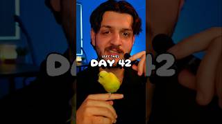 Day 42. Some thoughts on the future of IzzyTries. Let's discuss what you think I should explore?