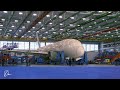 Boeing's 787 Dreamliner gets assembled quickly for Air India