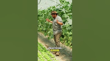 The Secret to Bigger Yields? It