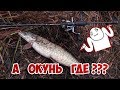 Ловля ОКУНЯ и НЕ ТОЛЬКО!