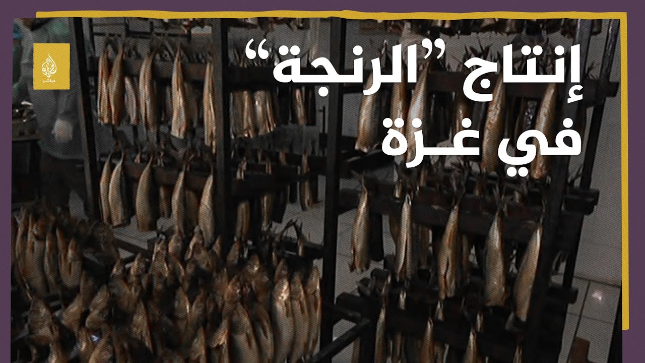 إنتاج السمك المدخن 