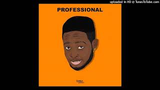 Professional - Agba Driver Beat Instrumental