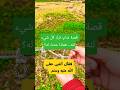قصة تهز القلب من الغنى إلى الشهادة مصعب بن عمير صحابة قصص اسلامية العبرة تذكير