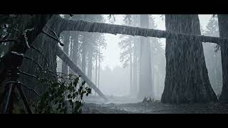 The Fire That Follows Water | Instrumental Metal with Orchestra | The Long Dark Canopy