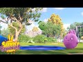 SUNNY BUNNIES - Trampoline | Season 4 | Cartoons for Children