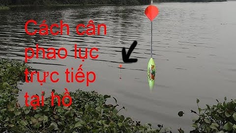 Cách Cân Phao Câu Lục Trực Tiếp Tại Hồ Câu