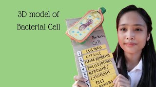 Gallarde, Monica A.- STEM1209 - BACTERIAL CELL