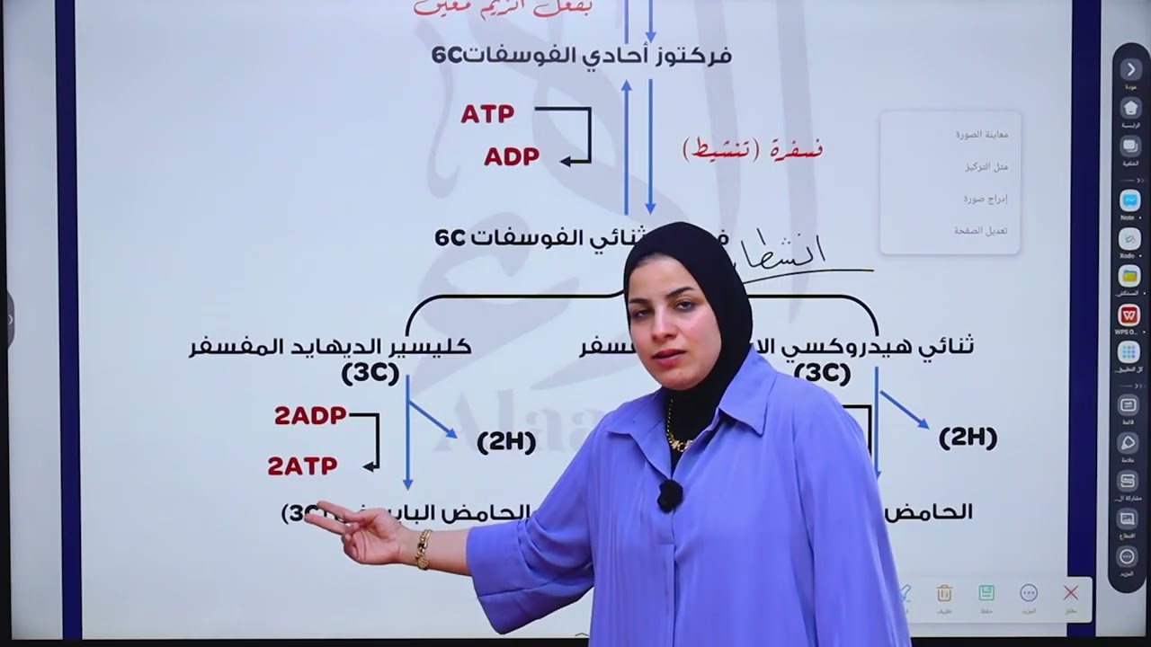 الست الاء البياتي / الفصل الاول - المحاضرة رقم 8