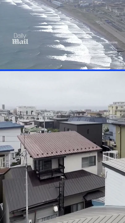 Hundreds of birds swarm Japan sky amid biggest earthquake in 14 years