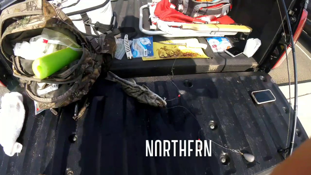 9th street bridge Ocean City NJ