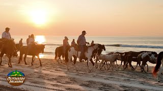 The Outdoors Delmarva 100th Chincoteague Pony Swim Special - Part 1: The Beach Walk