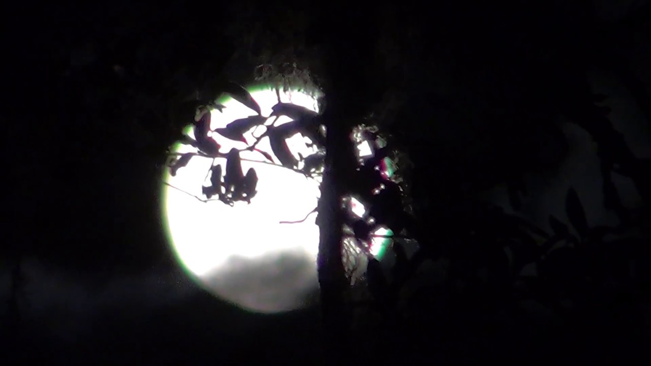 The Biggest Super Moon Ever