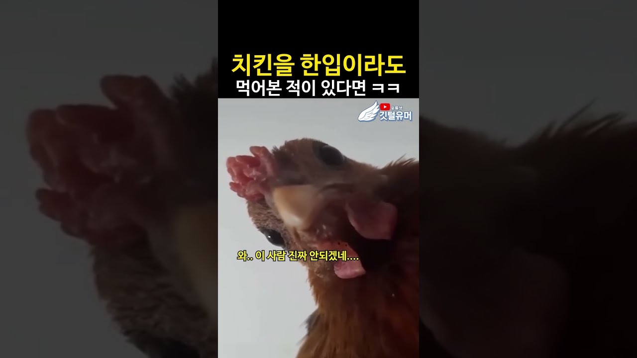 야식 먹자는 친구한테 보내면 좋은 영상 ㅋㅋㅋㅋㅋ