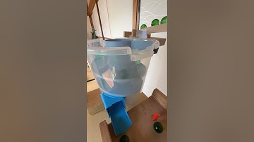 Marble Run (Rotating Bucket, Wiggling, Wooden Sound Device and Aquarium Course) #6 #ASMR