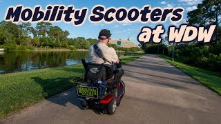 Everything you need to know about renting a scooter at Walt Disney World