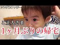 #32　やっとご主人さまがわが城にご帰還なされた！【シングルファザー】