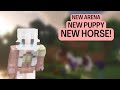 Getting some new friends and announcing the fillies name minecraft swem rrp