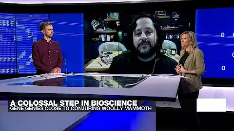 Should scientists revive extinct animals? • FRANCE 24 English