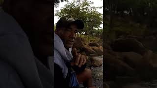 Traíra No Lago Paranoá Com Um Quilo De Piaba Na Barriga