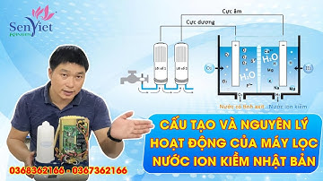 Cấu Tạo Và Nguyên Lý Hoạt Động Của Máy Lọc Nước Ion Kiềm Nhật Bản | Kangen Sen Việt 19008652