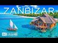 Capture de la vidéo Zanzibar 8K – Unveiling The Beauty Of The Indian Ocean's Most Exotic Island - Video 8K Uhd