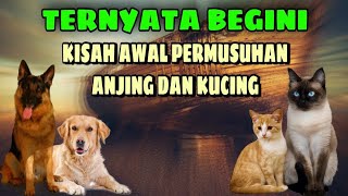 Awal Mula Permusuhan Anjing dan Kucing | KARENA ANJING GAK TAHAN BERSETUBUH.