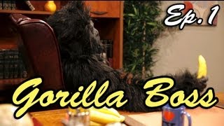 Gorilla Boss (Ep.1) The Interview