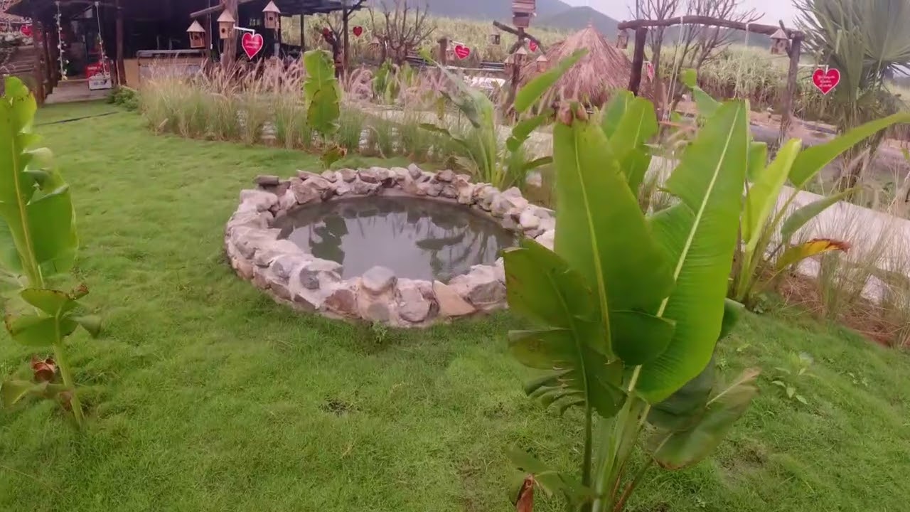 03.3.2026, CHILL FARM, ĐIỂM ĐẾN MỚI TẠI NINH TÂN, NINH HÒA, KHÁNH HÒA.