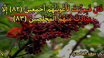 القارئ سعد الغامدي / قَالَ فَبِعِزَّتِكَ لَأُغْوِيَنَّهُمْ أَجْمَعِينَ