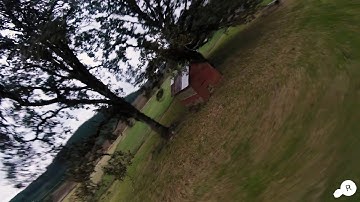 Radix - Trees - Dope Prox Spot!