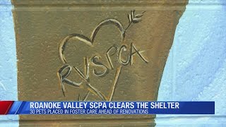 Roanoke Valley SPCA successfully places 30 pets in foster homes ahead of major renovations